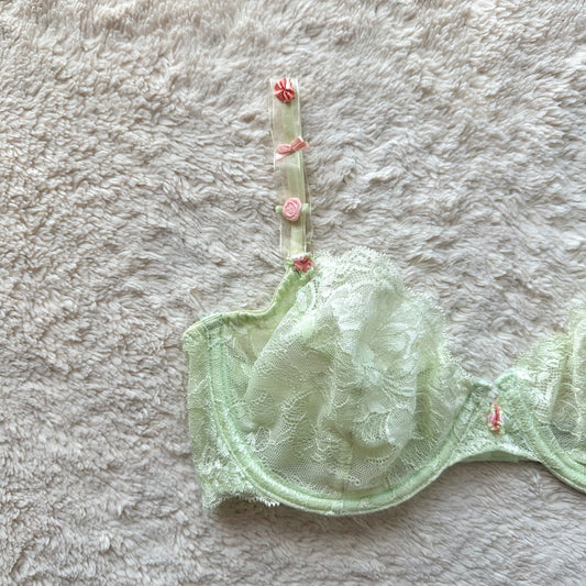 2000's fairy garden bra