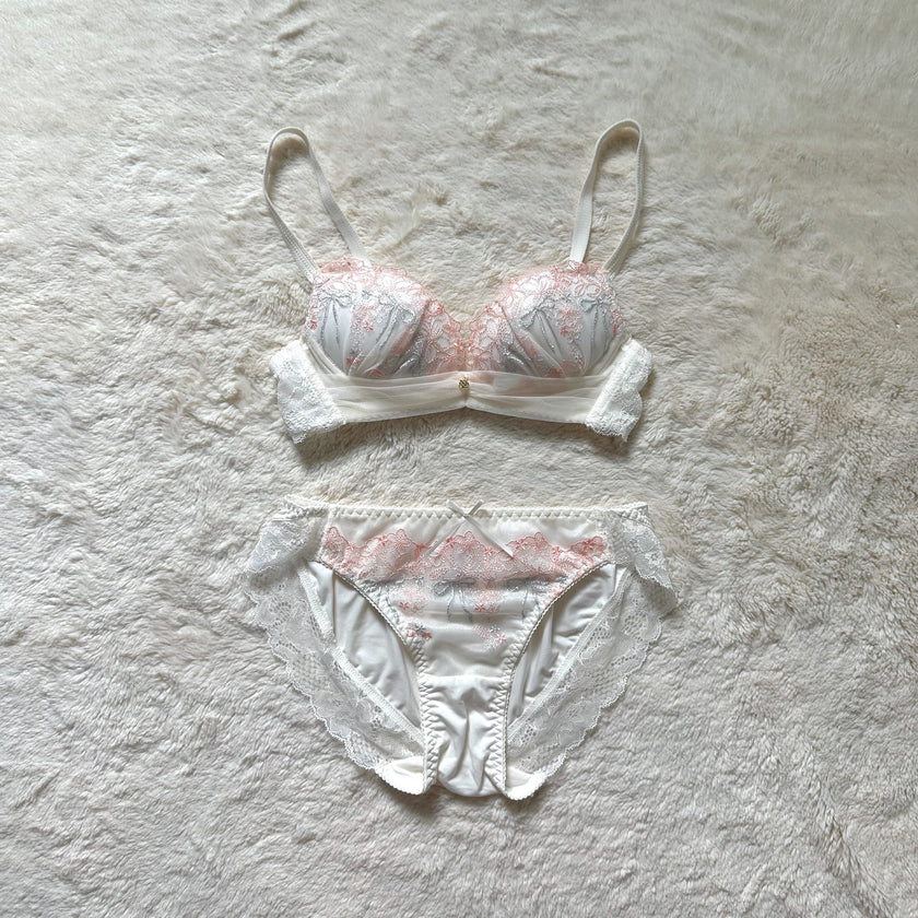 japanese brand tulle dream bra + panty set