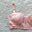 2008 blushing ballerina longline bra