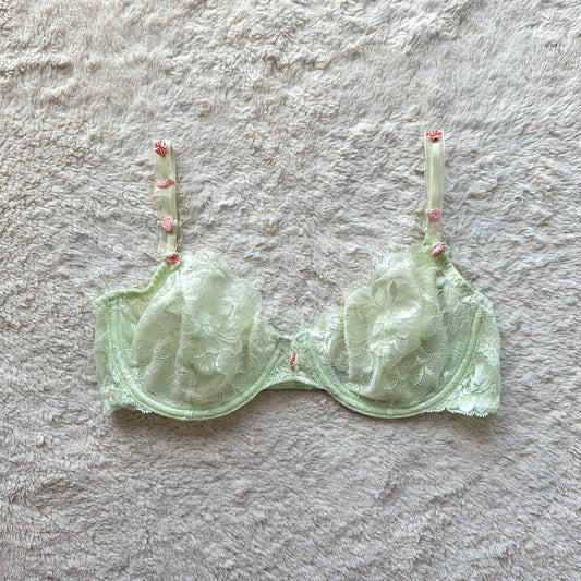2000's fairy garden bra