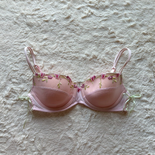 2000's butterfly garden bra